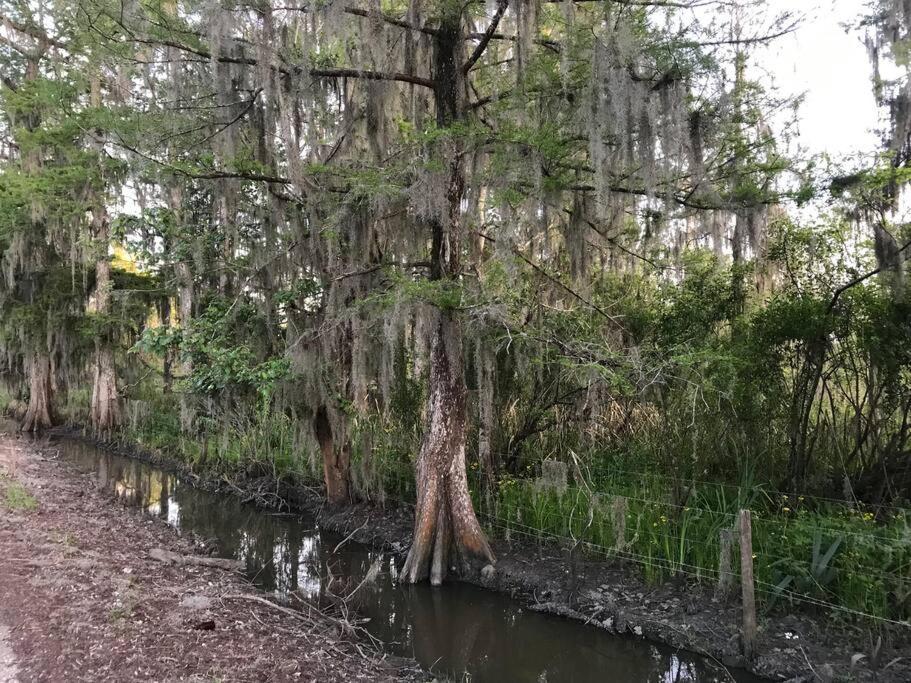 La Maison Du Bayou Petite Anse Near Avery Island نيو أيبيريا المظهر الخارجي الصورة