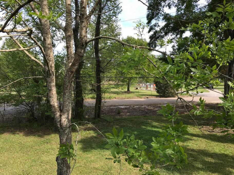 La Maison Du Bayou Petite Anse Near Avery Island نيو أيبيريا المظهر الخارجي الصورة